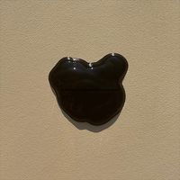 Perile Activated Charcoal Cleanser